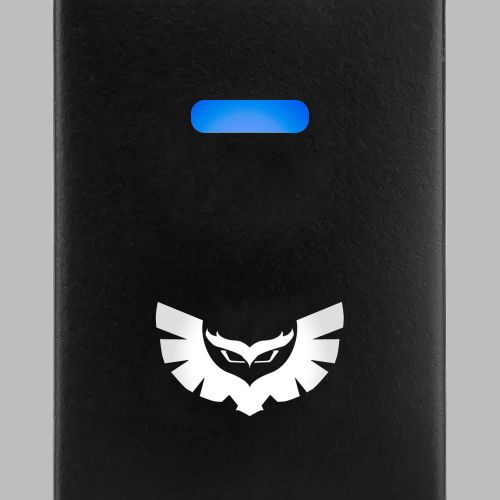db-owl.jpg