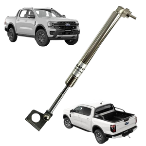 Tailgate Assist Struts