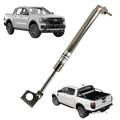 Tailgate Assist Struts